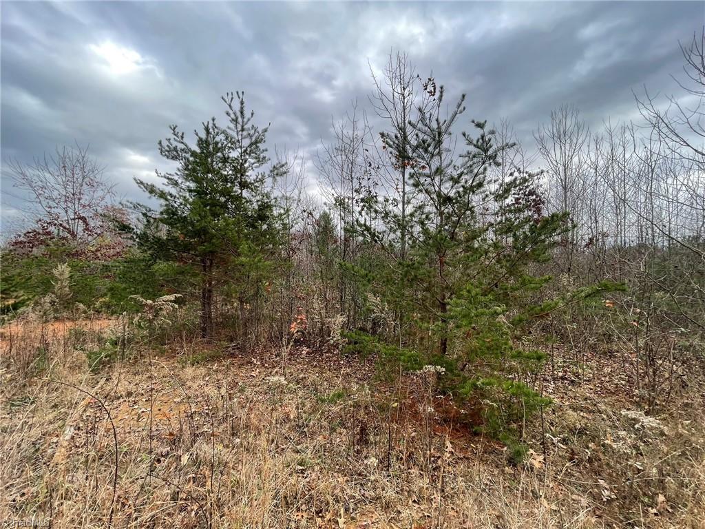 Lot 12 Pulco Lane, Ronda, North Carolina image 1