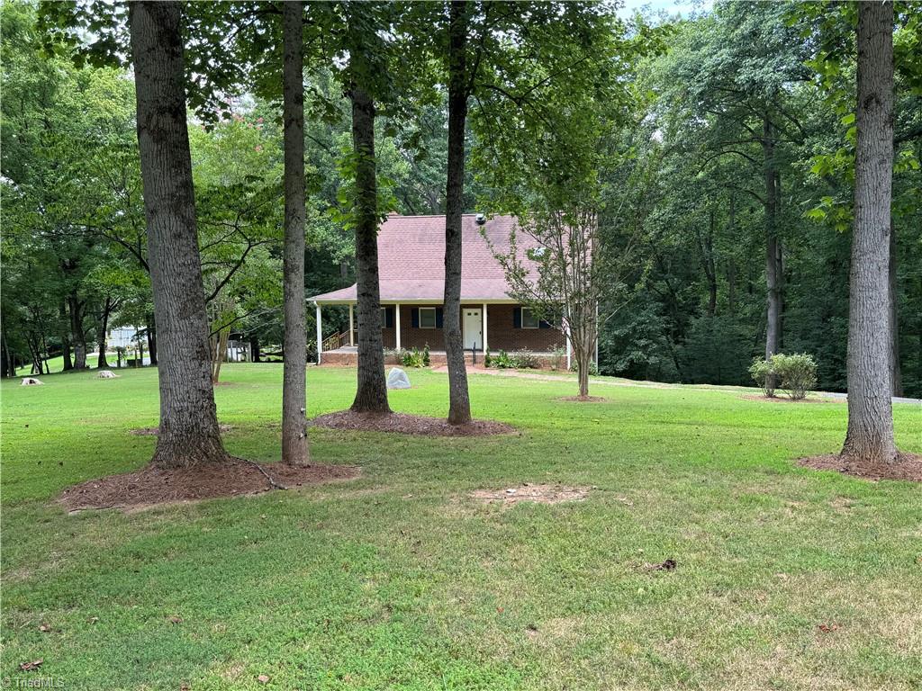 1602 Trinity Church Road, Pinnacle, North Carolina image 48
