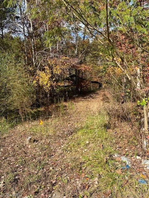 3119 Nc 268, photo 4 of 13