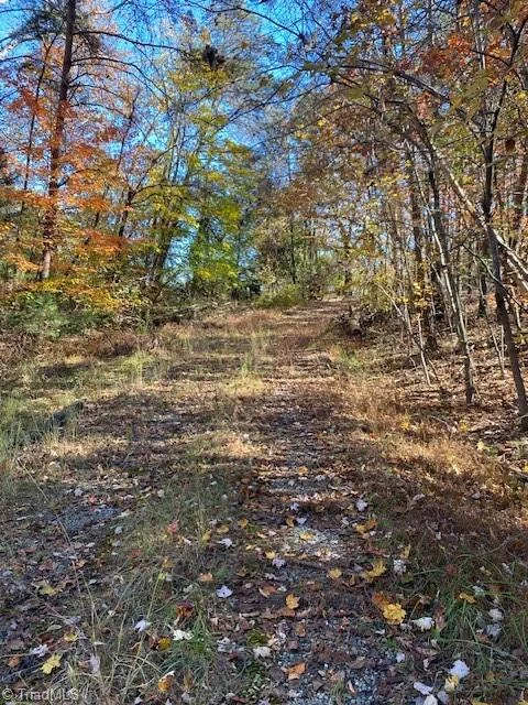 3119 Nc 268, photo 2 of 13