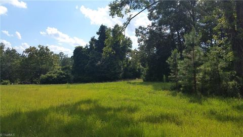 Unimproved Land in Sedalia NC 6139* Burlington Road 9.jpg