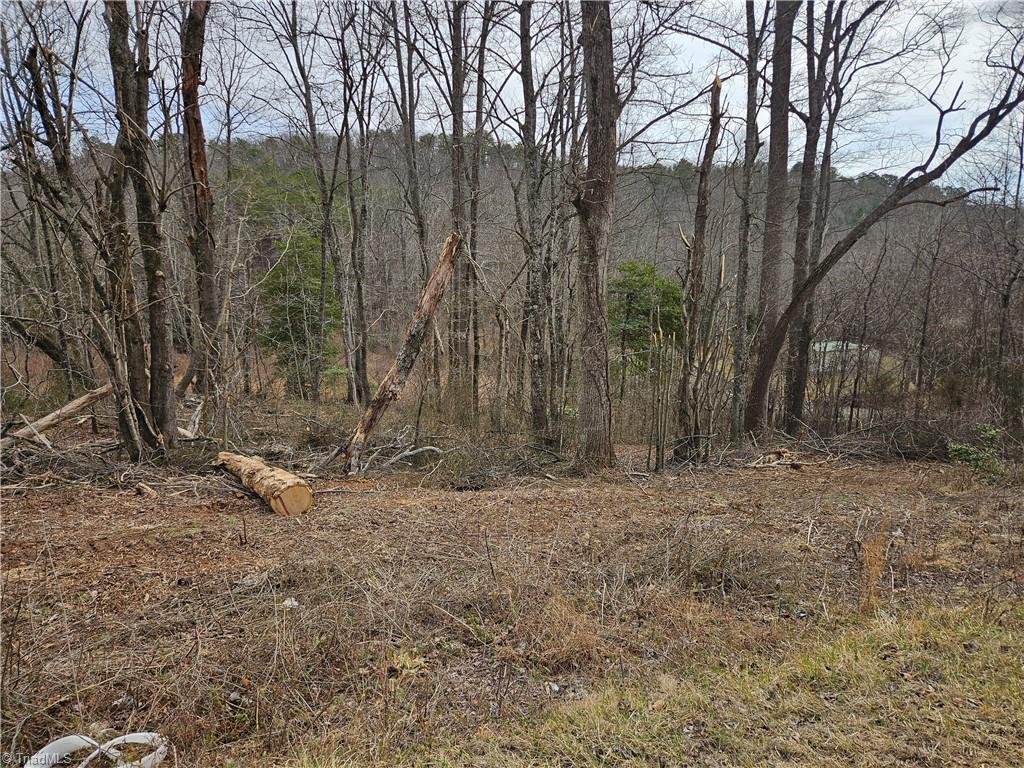 00 Blue Hollow Road #5, Mount Airy, North Carolina image 7
