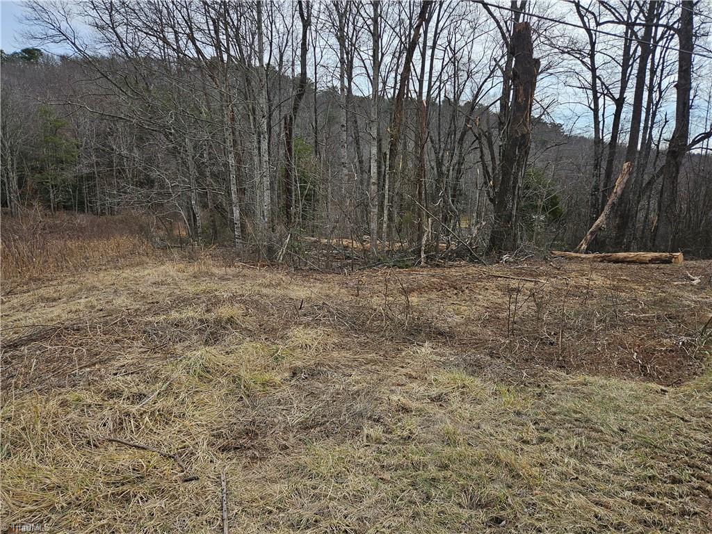 00 Blue Hollow Road #5, Mount Airy, North Carolina image 5