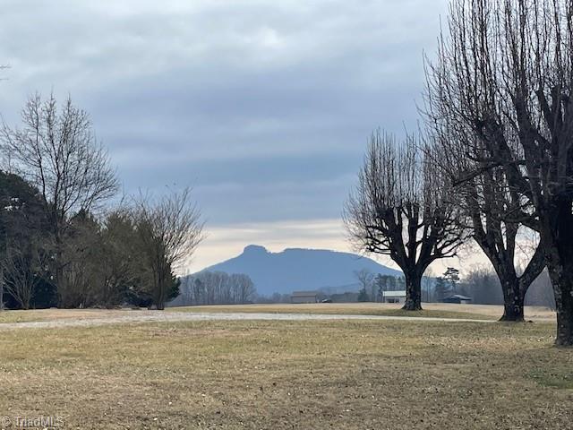 00 Ararat Road, Pilot Mountain, North Carolina image 1