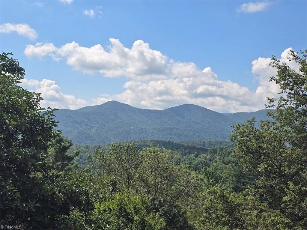 Photo of 979 Wagon Road, Warrensville, NC 28693 (MLS # 1191563)