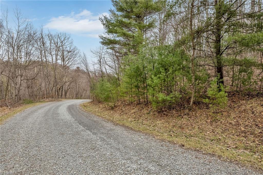 TBD Meadow Creek, Galax, Virginia image 20