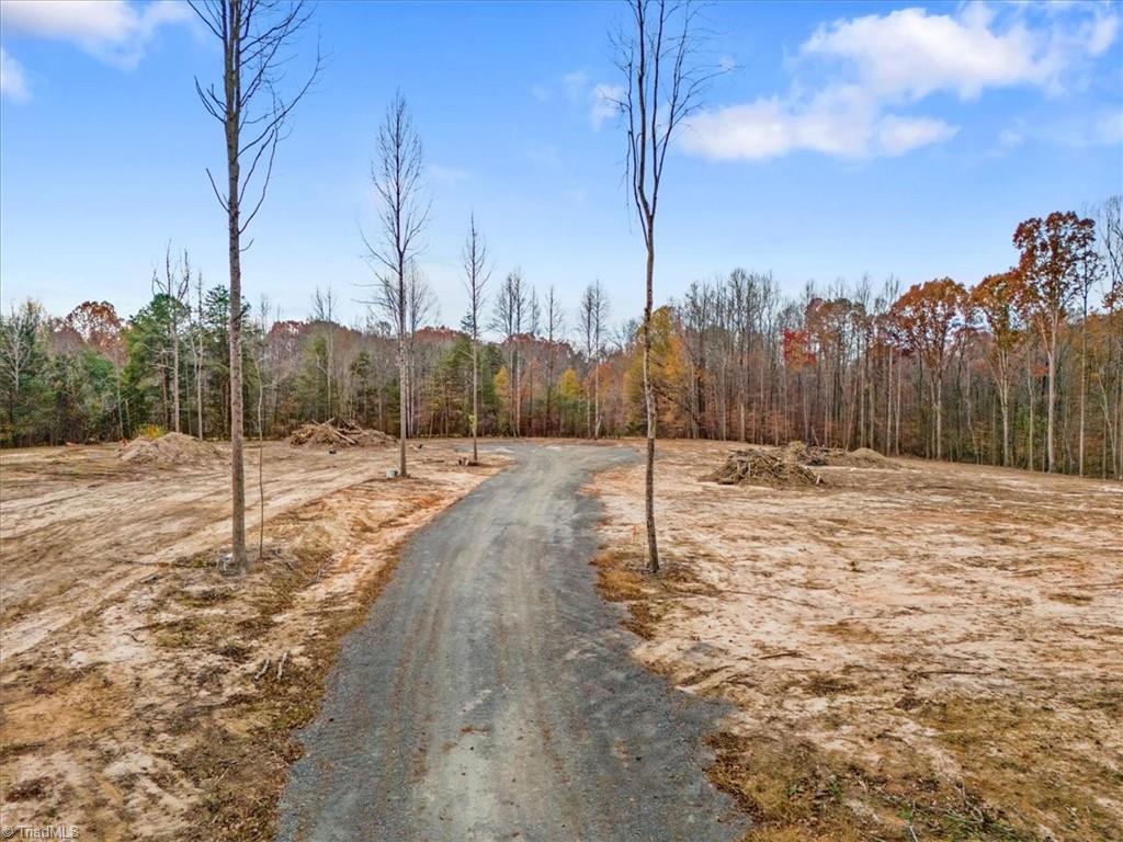 Country Lane, Reidsville, North Carolina image 28