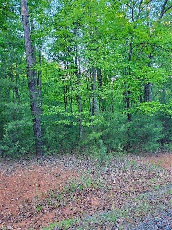Lot 81 Sutters Ridge Road, McGrady, North Carolina image 2
