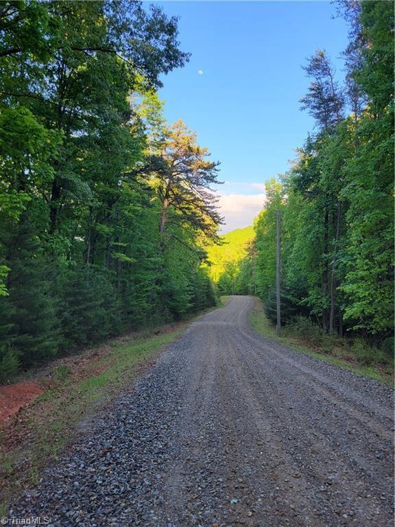 Lot 81 Sutters Ridge Road, McGrady, North Carolina image 1