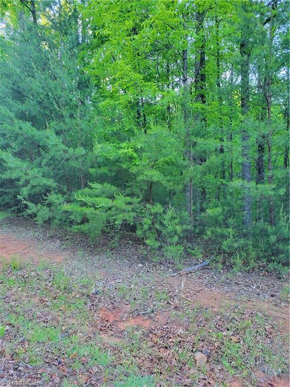 Lot 81 Sutters Ridge Road, McGrady, North Carolina image 3