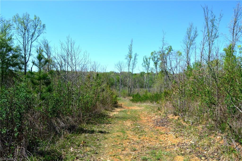 00 Round Hill Road, Eden, North Carolina image 5