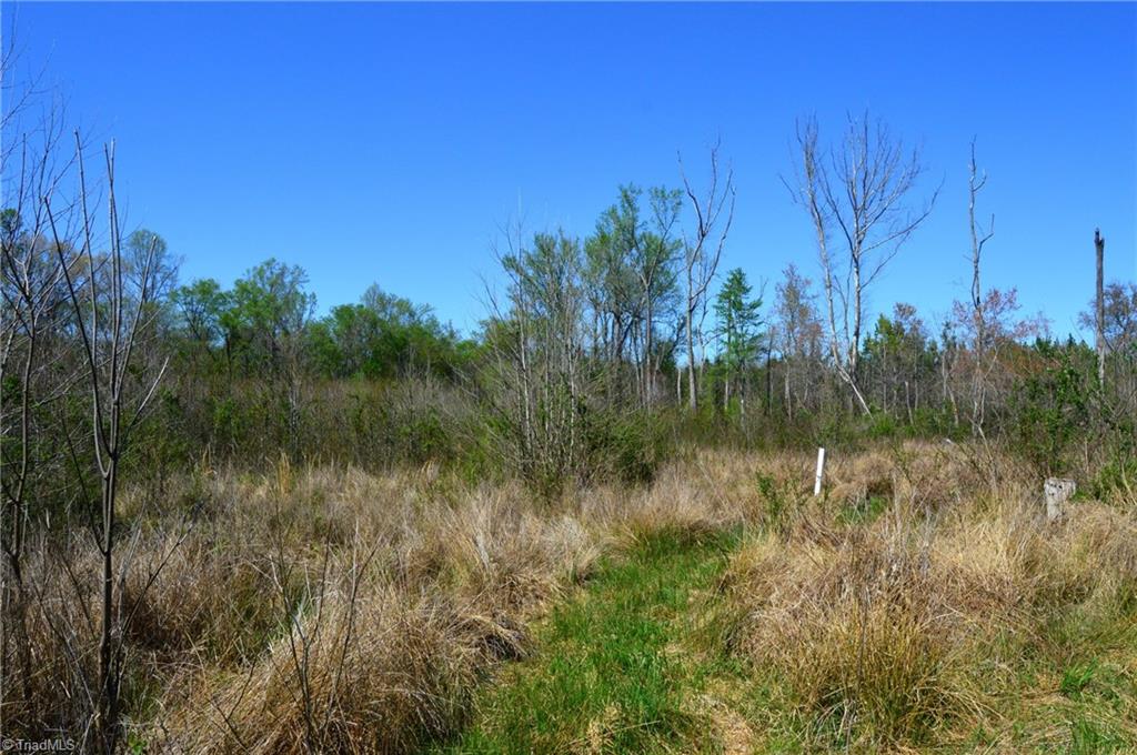 00 Round Hill Road, Eden, North Carolina image 11