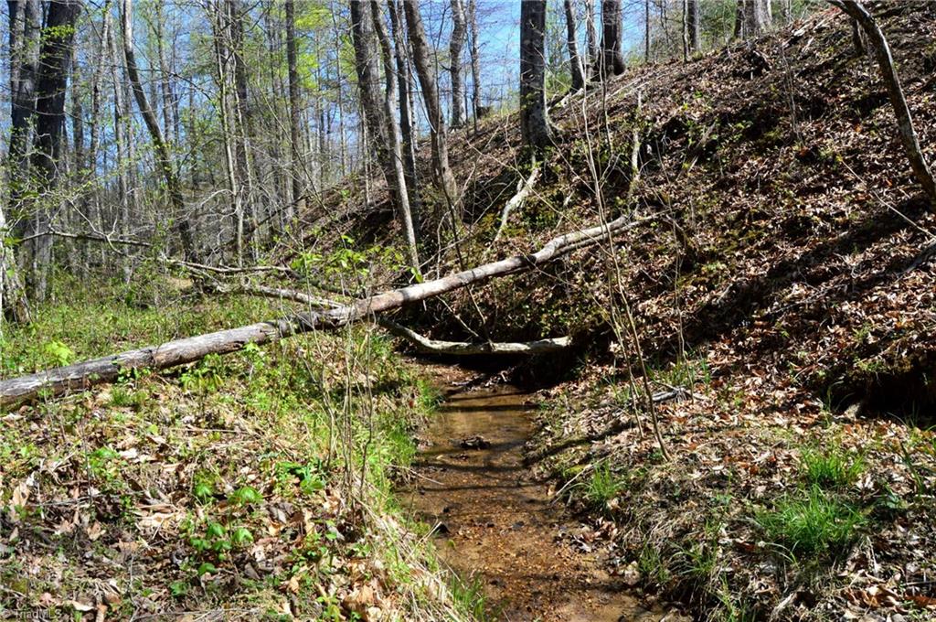 00 Round Hill Road, Eden, North Carolina image 8