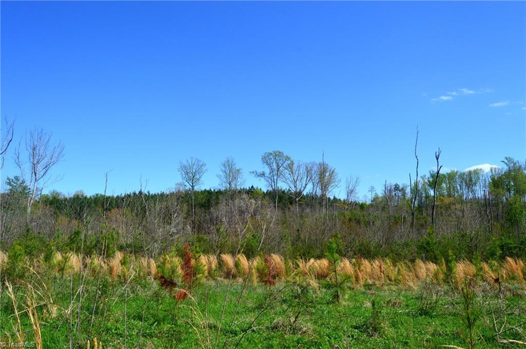 00 Round Hill Road, Eden, North Carolina image 19