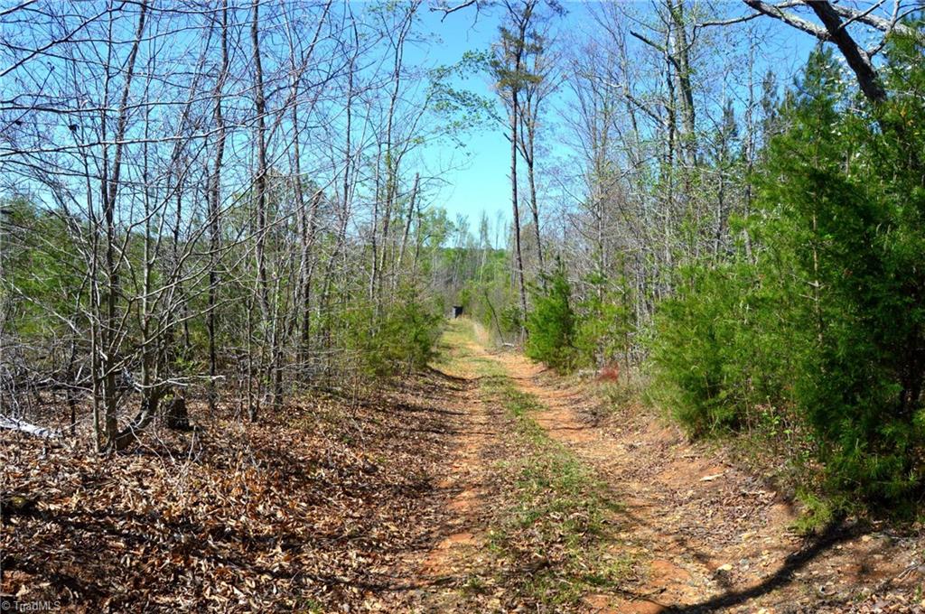 00 Round Hill Road, Eden, North Carolina image 3