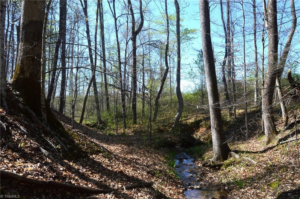00 Round Hill Road, Eden, North Carolina image 10
