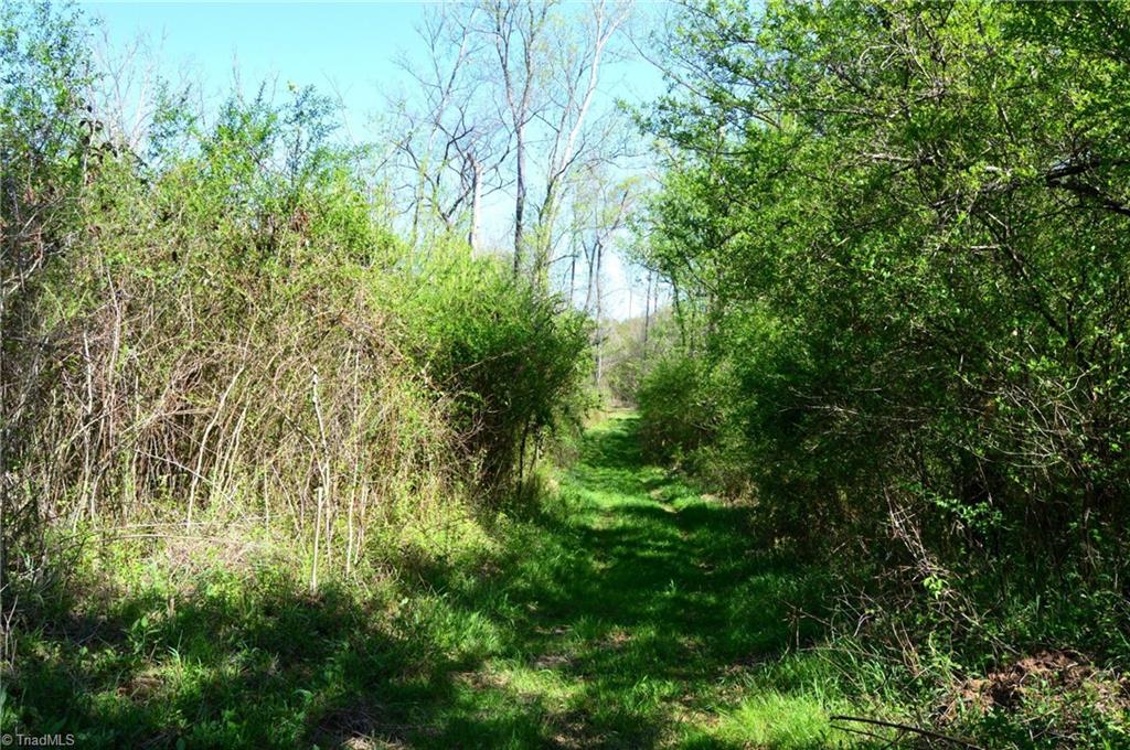 00 Round Hill Road, Eden, North Carolina image 22