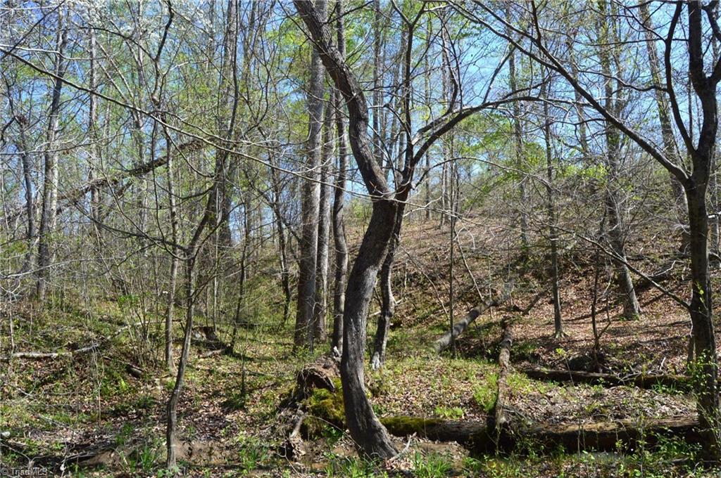 00 Round Hill Road, Eden, North Carolina image 7