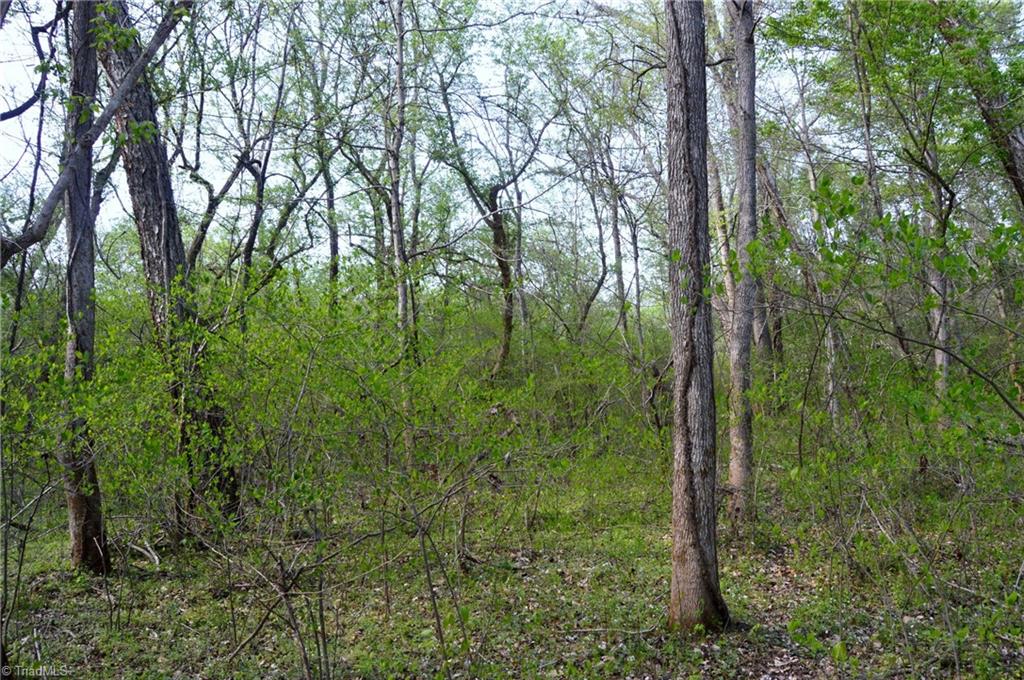 00 Round Hill Road, Eden, North Carolina image 16