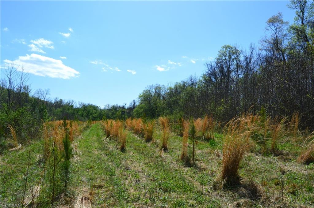 00 Round Hill Road, Eden, North Carolina image 14