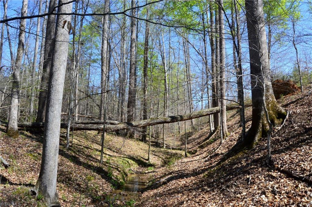 00 Round Hill Road, Eden, North Carolina image 9