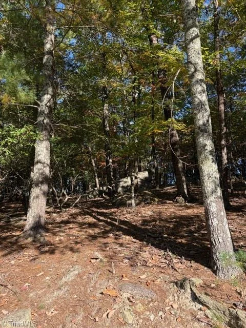 TBD Greenstreet Drive, photo 4 of 9