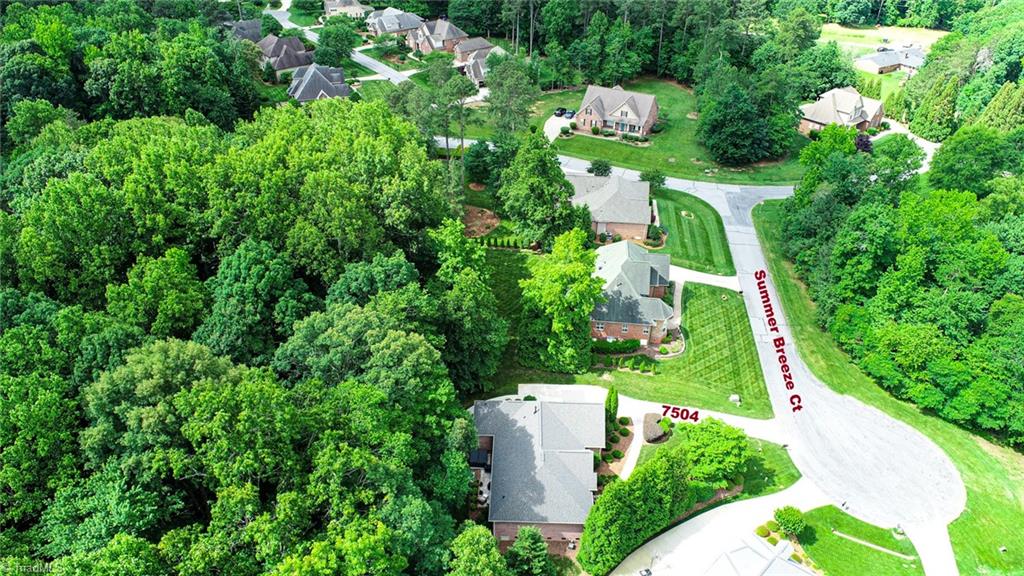 7504 Summer Breeze Court, Summerfield, North Carolina image 45