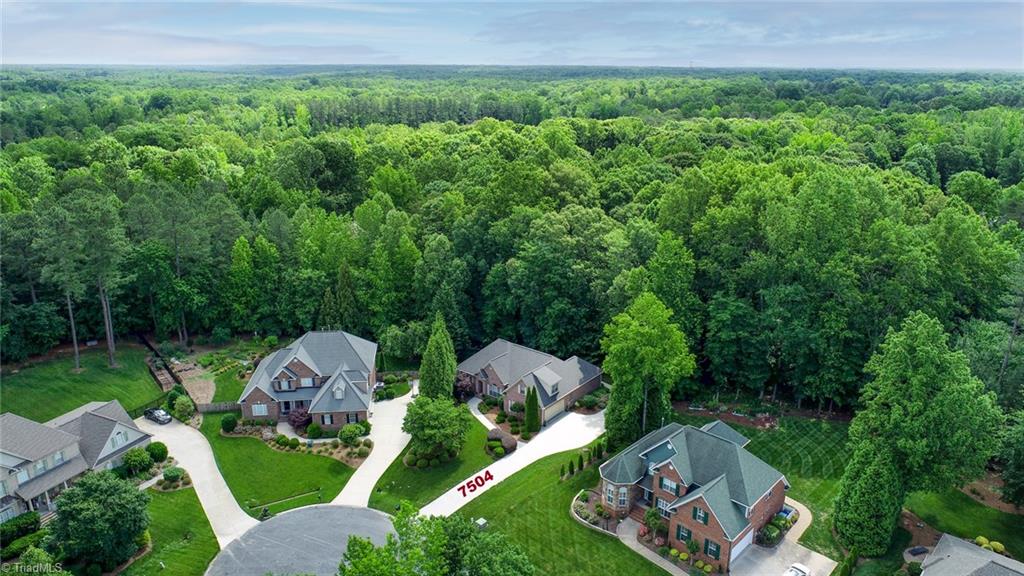 7504 Summer Breeze Court, Summerfield, North Carolina image 46