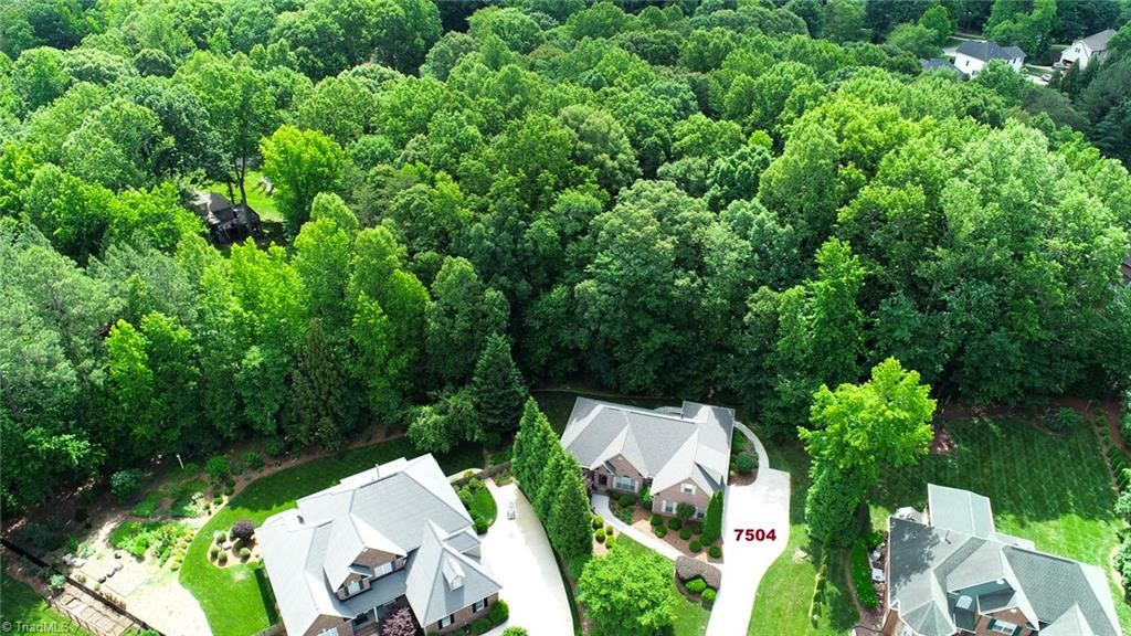 7504 Summer Breeze Court, Summerfield, North Carolina image 47