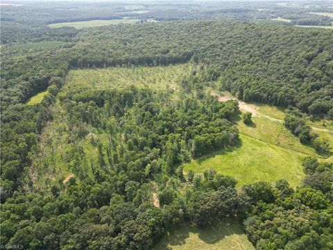 Vacant Land For Sale - 00 Nc Highway 49<br/> Denton, NC 27239