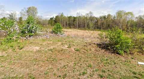 7491 Birchbend Lane Lot 1 Lewisville NC 27023