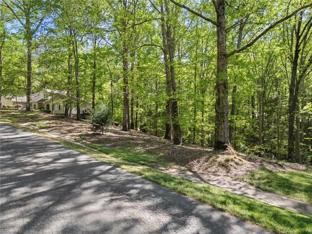 135 Barksdale Lane, Mooresville, North Carolina image 15