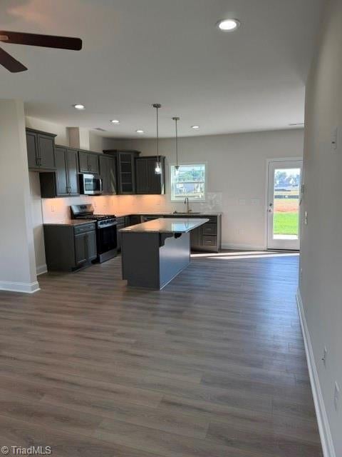 1329 Dandridge Drive