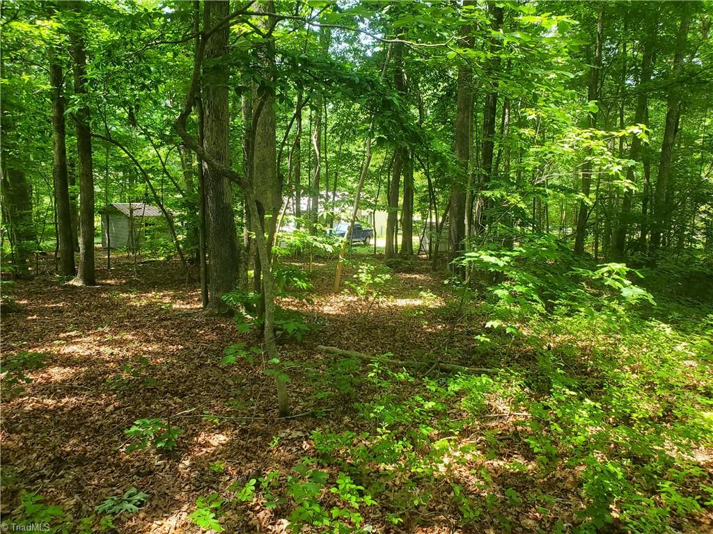 291 Virgil Hill Road, Asheboro, North Carolina image 17