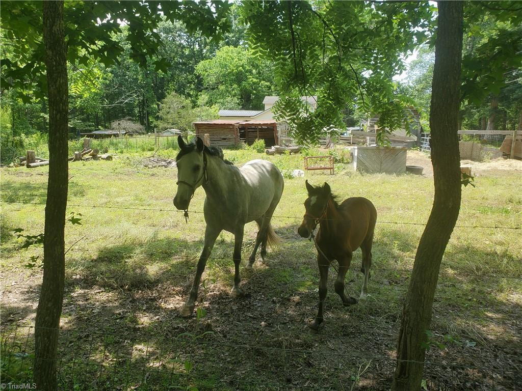 291 Virgil Hill Road, Asheboro, North Carolina image 19