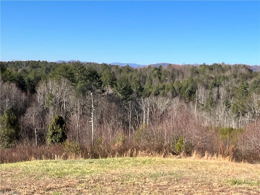 000 Mulberry Creek Road, North Wilkesboro, North Carolina image 9