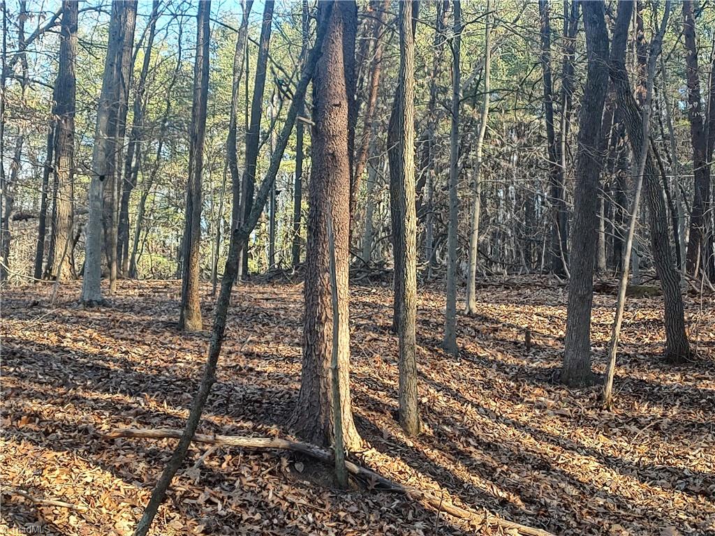 153 Brenda Court, Eden, North Carolina image 7