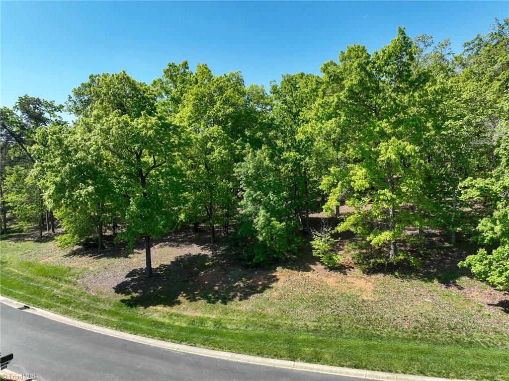 140 Flint Ridge Trail, New London, North Carolina image 2