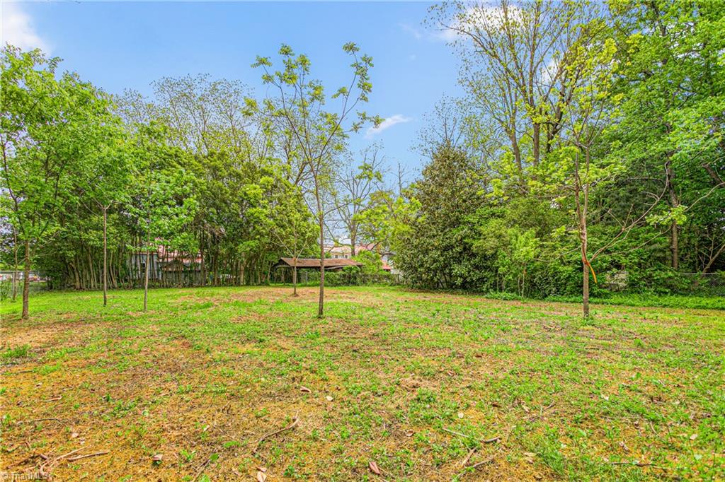 429 N Asheboro Street, Liberty, North Carolina image 40