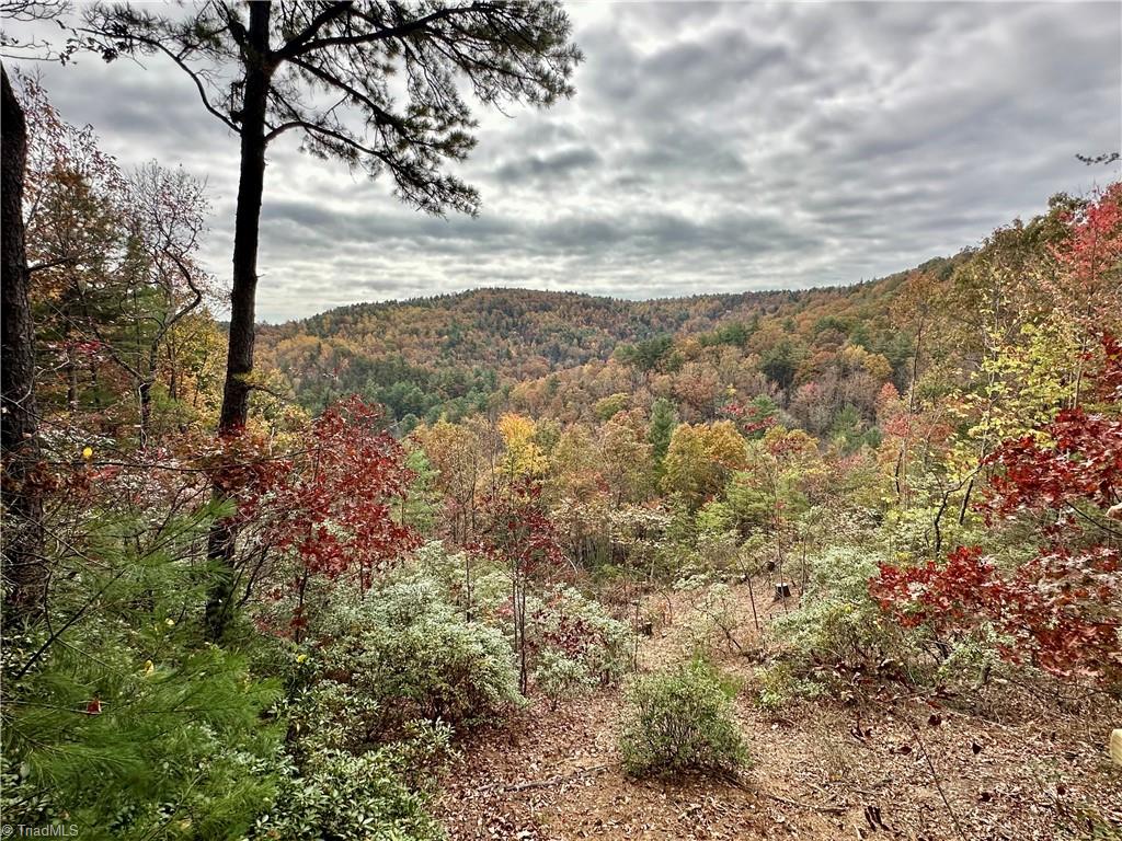 Lot 34E Cascade Run, Purlear, North Carolina image 31