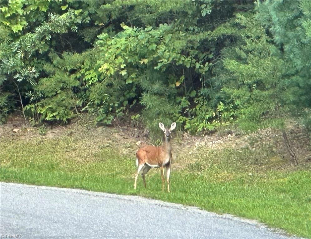 Lot 34E Cascade Run, Purlear, North Carolina image 13