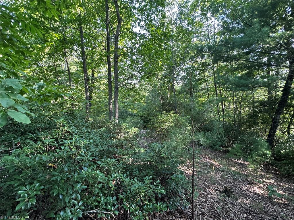 Lot 34E Cascade Run, Purlear, North Carolina image 9