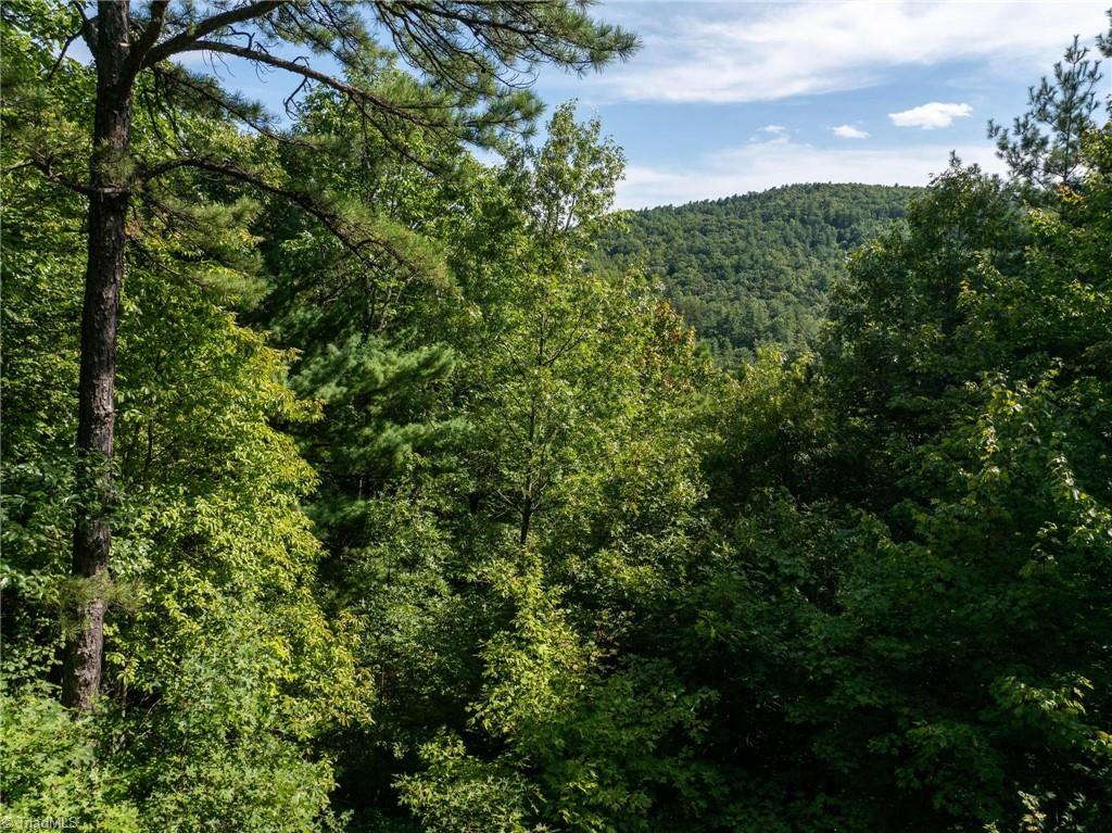 Lot 34E Cascade Run, Purlear, North Carolina image 4