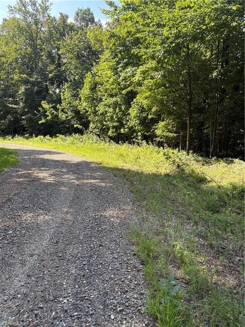 Vacant Land For Sale - LOT 4 Falcon Ridge Drive<br/> Moravian Falls, NC 28654
