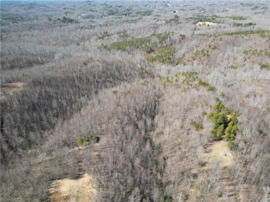 46.9 AC Seven Island Road, Danbury, North Carolina image 49