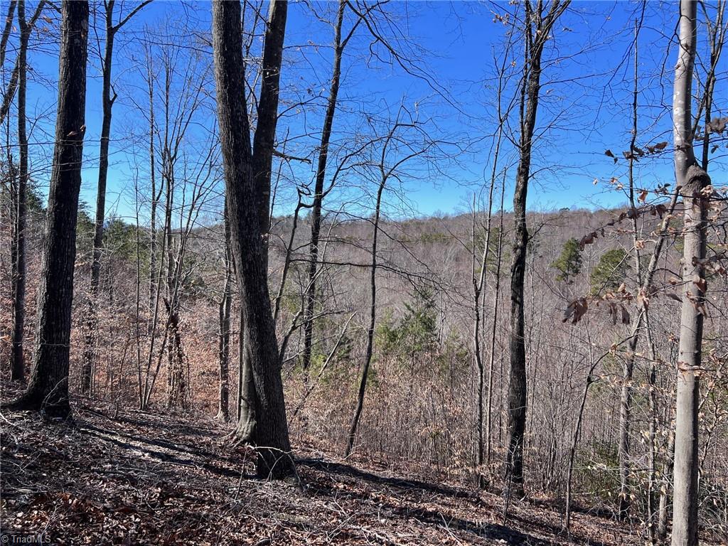 46.9 AC Seven Island Road, Danbury, North Carolina image 33