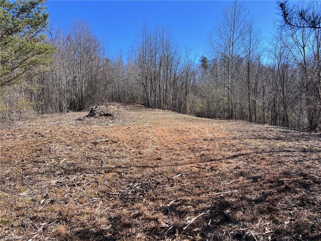 46.9 AC Seven Island Road, Danbury, North Carolina image 42