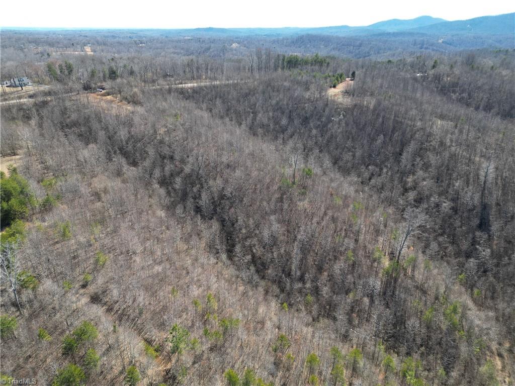 46.9 AC Seven Island Road, Danbury, North Carolina image 43