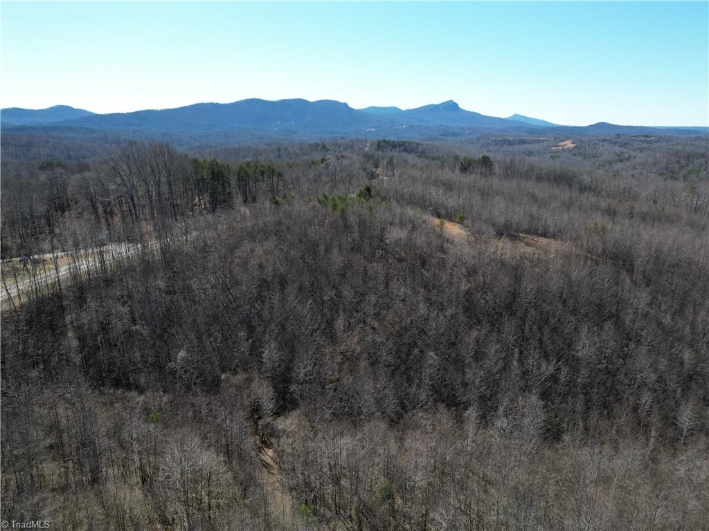 46.9 AC Seven Island Road, Danbury, North Carolina image 44