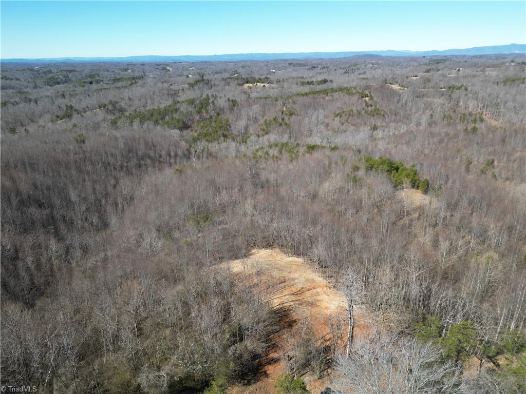 46.9 AC Seven Island Road, Danbury, North Carolina image 48